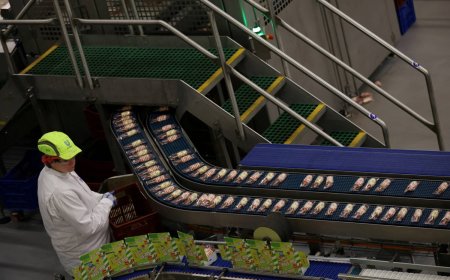 Ice cream makers bet consumers still want treats, just healthier ones