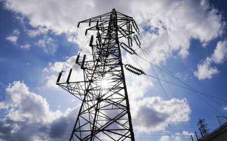 Japan’s power futures get boost as utilities hedge price risk
