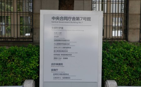 Financial Services Agency to set up inspection office