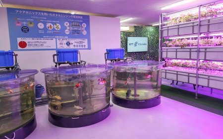 Firms tap AI and sensors to boost indoor farming as Japan faces farmer shortage