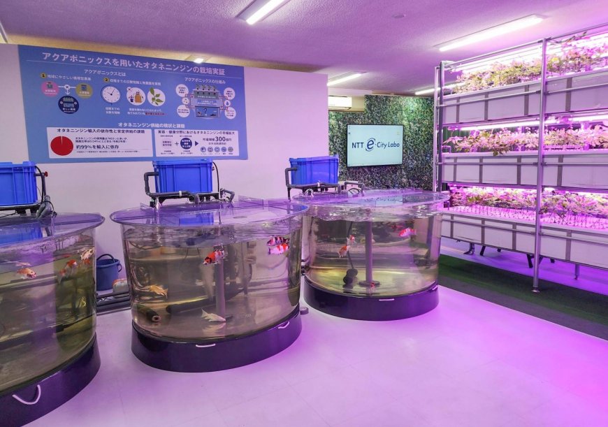 Firms tap AI and sensors to boost indoor farming as Japan faces farmer shortage