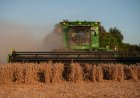 China’s selective crop buying tests U.S. trade truce before summit