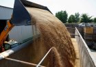 Wheat buyers brace for higher costs as Russia-Ukraine war drags on