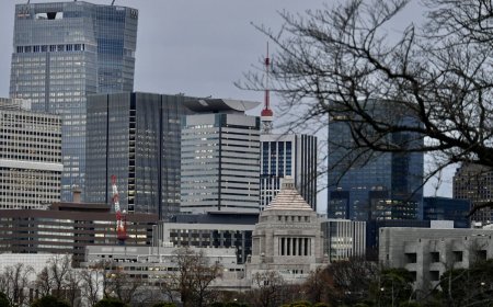 Ministry and agency tax system reform requests focus on economic strength