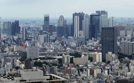 Japan’s companies boost capital investment as profits surge