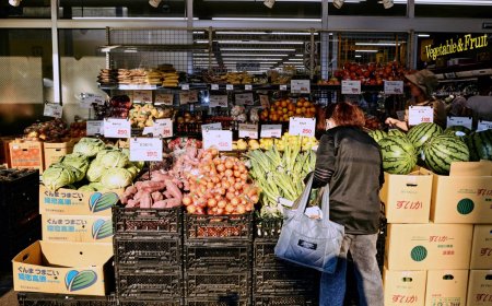 Japanese households cut spending for eighth month as prices rise