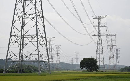 Chubu Electric retail subsidiary mistakenly overcharged customers