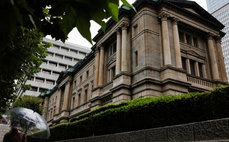 Bank of Japan raises rates, and might do so again soon