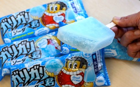 The 109-year-old Fukushima firm supplying ice for Garigari-kun popsicles