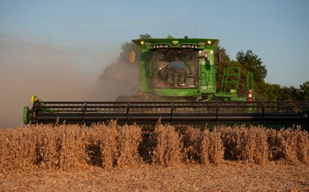 China’s selective crop buying tests U.S. trade truce before summit