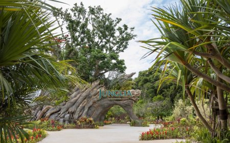 Junglia theme park in Okinawa logs ¥17 billion loss in first year