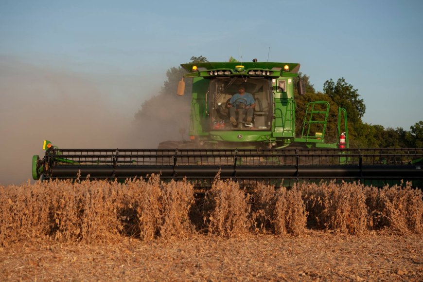 China’s selective crop buying tests U.S. trade truce before summit
