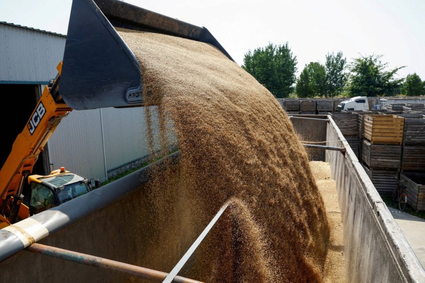 Wheat buyers brace for higher costs as Russia-Ukraine war drags on