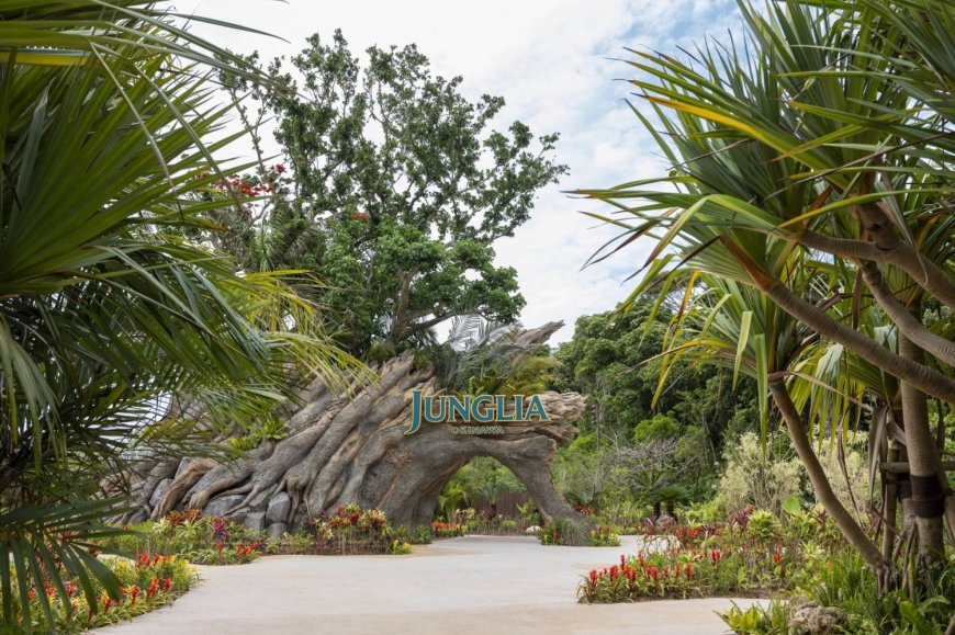 Junglia theme park in Okinawa logs ¥17 billion loss in first year