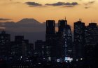 Japan’s Fukoku Mutual Life counts on cash to mitigate volatility
