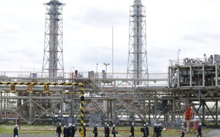 Millennium to hire Jera power trader in Japan energy push