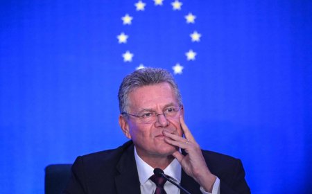 China and EU strike deal to halve Chinese hybrid exports