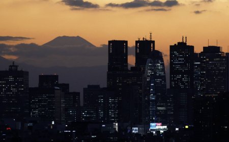 Japan’s Fukoku Mutual Life counts on cash to mitigate volatility
