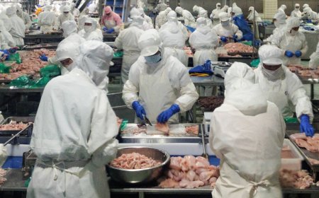 This Chinese export boom really has legs — and wings