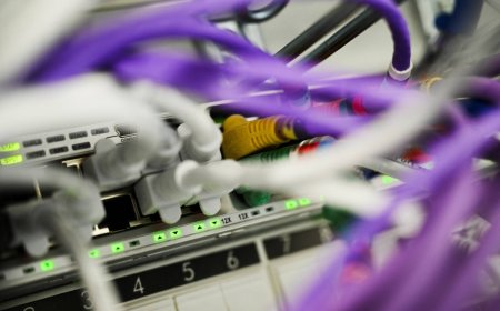Bank, business and ministry websites halted after PHP vulnerabilities announced