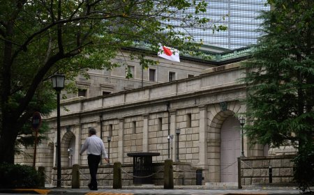 Most BOJ watchers expect next interest rate hike in December