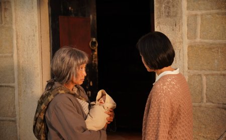 Japanese films at TIFF feature melodrama, monsters and more
