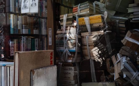 Not so cozy? Japanese bookstore fiction gets real.