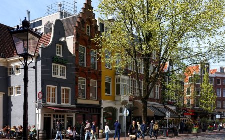 Dutch bid to replace government jobs with AI set to test technology and society