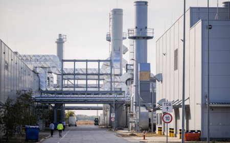 Hungary’s post-Orban shakeout ripples through auto industry