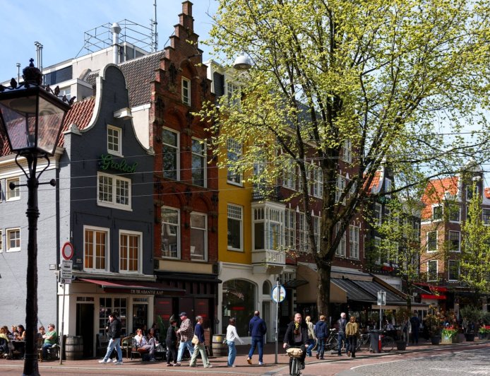 Dutch bid to replace government jobs with AI set to test technology and society