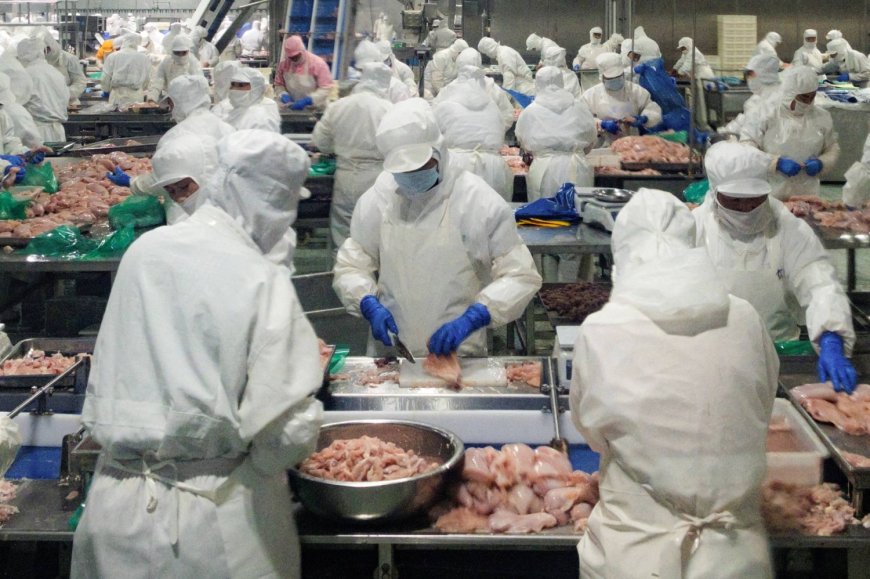 This Chinese export boom really has legs — and wings