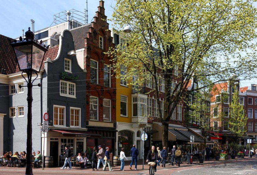 Dutch bid to replace government jobs with AI set to test technology and society
